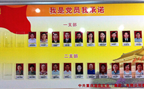 z6尊龙官方网站集团党委开展党员承诺活动